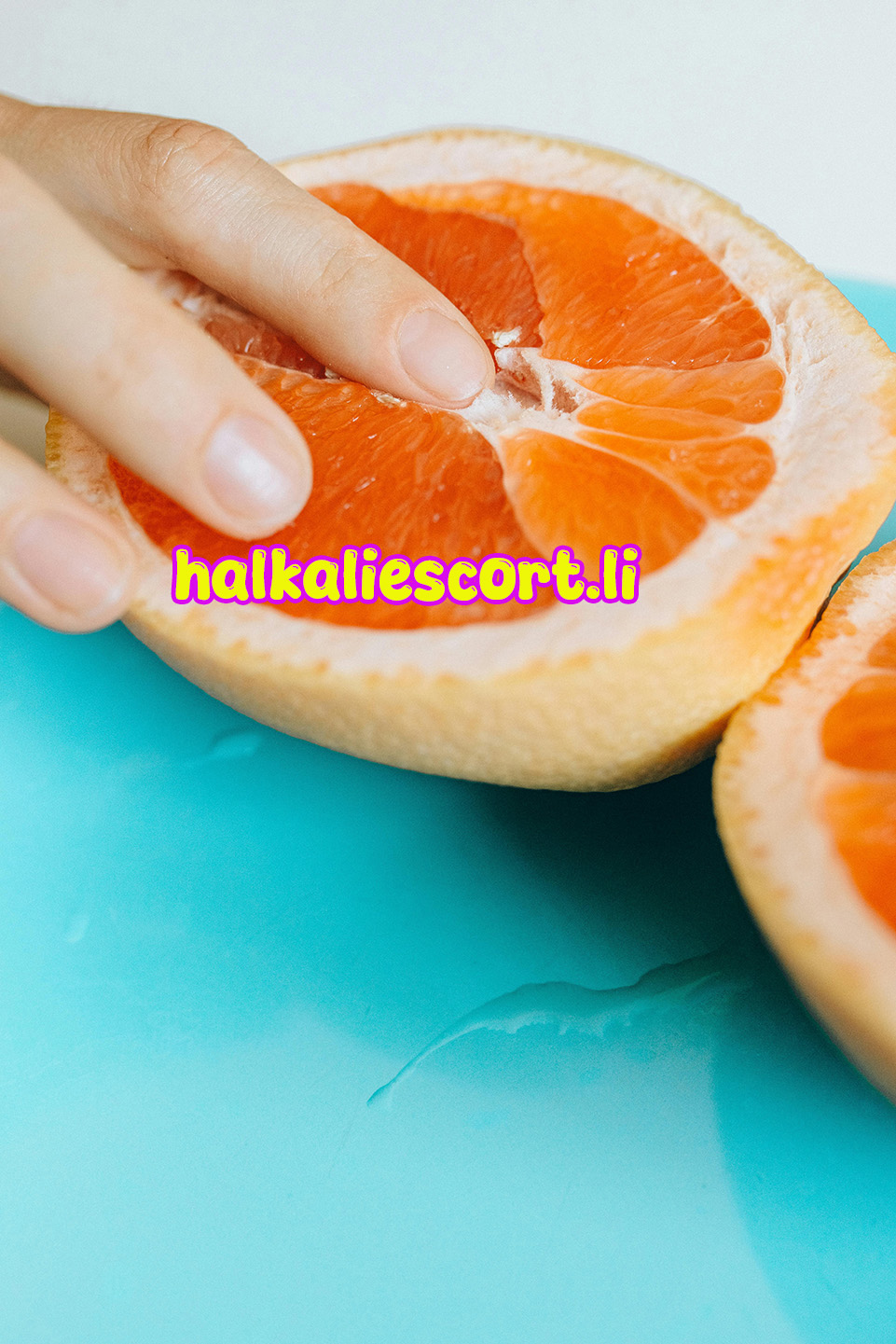 Halkalı Escort